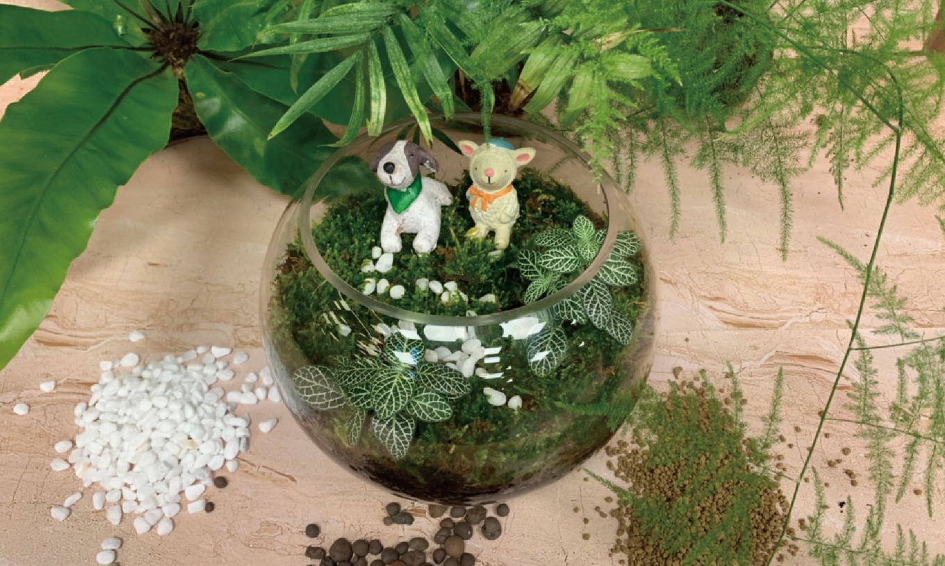 [Selected Handmade] Plant Eco-bottle｜Therapeutic Moss Balls