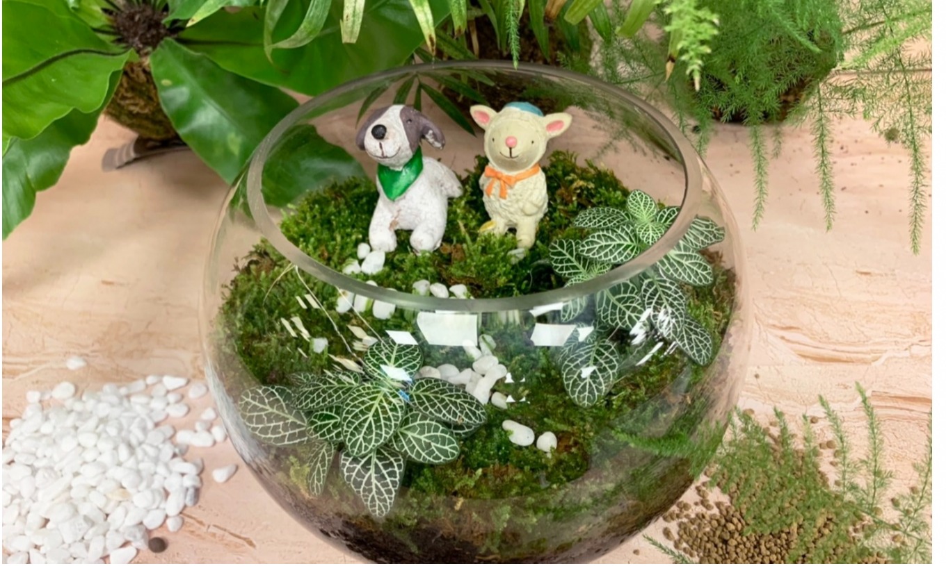 【精選手作】植物生態瓶｜永生花盅