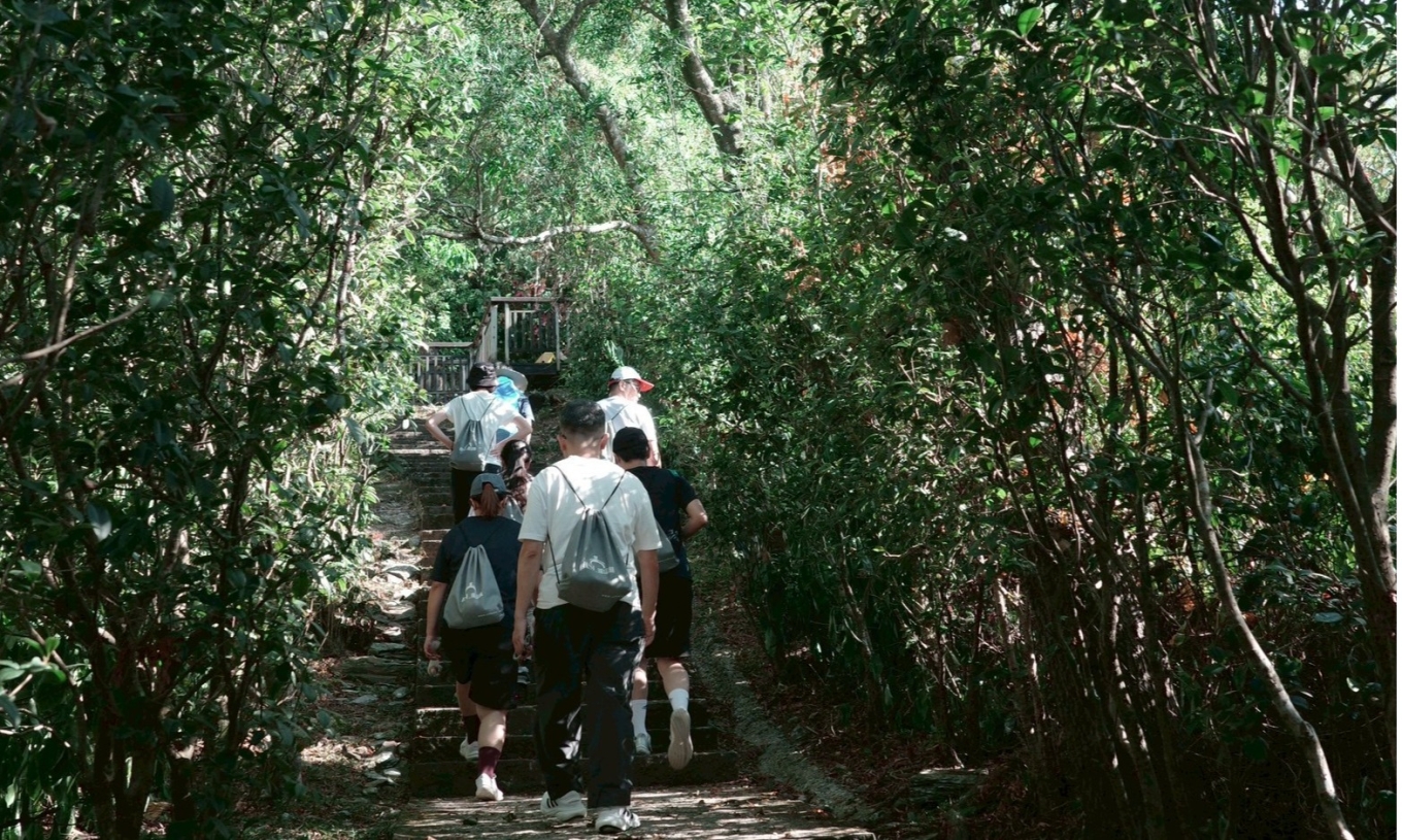 【秋冬活動】七星嶺晨間療癒（11/1-12/31）